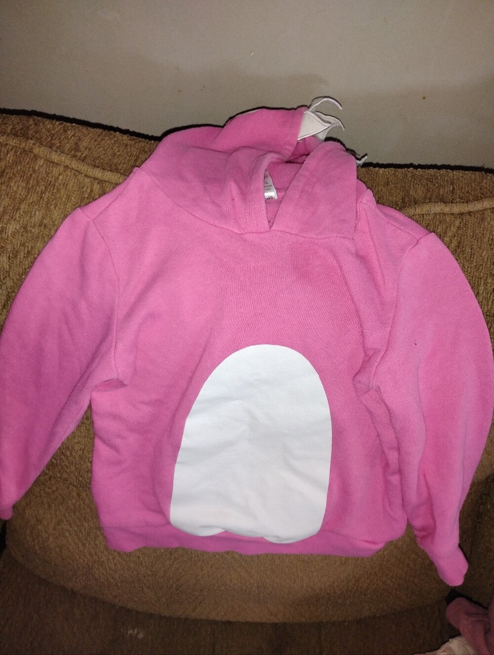 Nickelodeon Pink Hoodie with White Front Patch